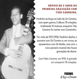 Pardinho