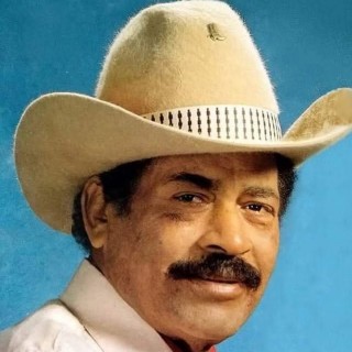 RADIO PEGADA RAIZ